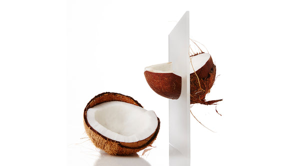 Coconut Still Life | HydroSkinCare